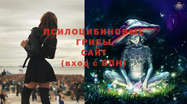 ешки Алексеевка