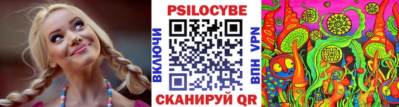 сайты даркнета официальный сайт купить закладку Новозыбков Псилоцибиновые грибы Magic Shrooms