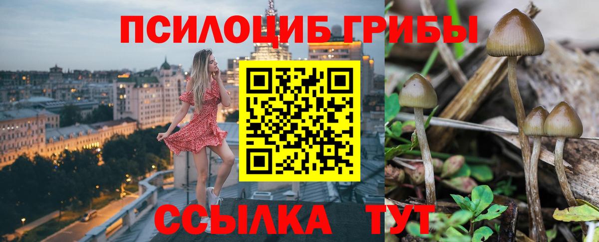Новозыбков  Галлюциногенные грибы Psilocybe  Вход с VPN  Галлюциногенные грибы Magic Shrooms 