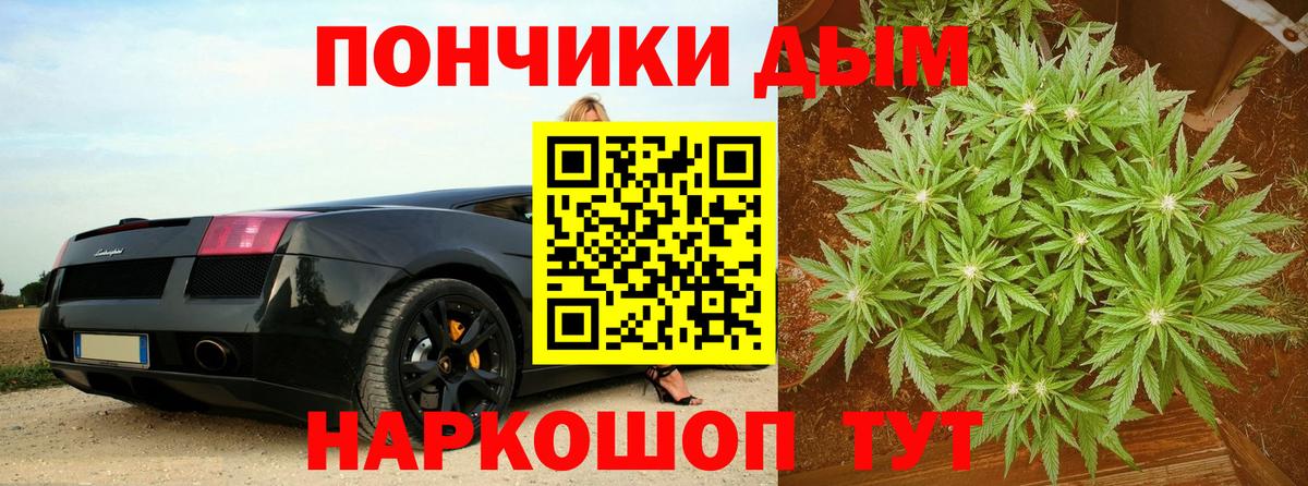Канабис SATIVA & INDICA Новозыбков